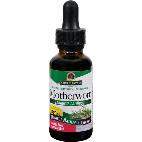 Nature's Answer Motherwort Herb - 1 Fl Oz