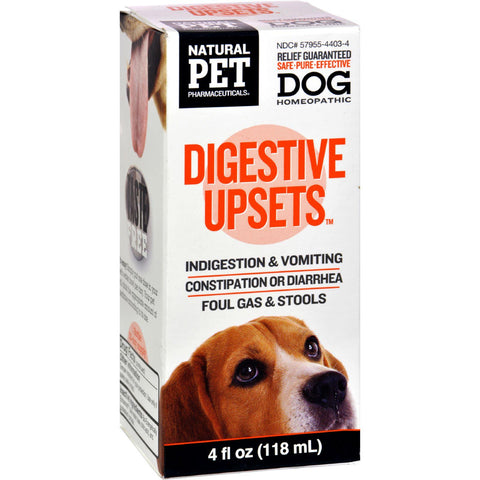 King Bio Homeopathic Natural Pet Dog - Digestive Upsets - 4 Oz